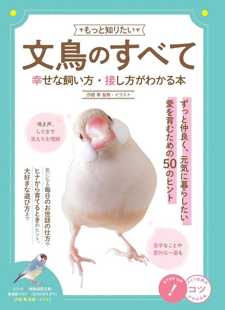 Java Sparrow Import Japanese Products At Wholesale Prices Super Delivery