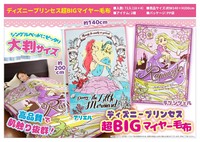 ディズニープリンセス超bigマイヤー毛布 の商品ページ 卸 仕入れサイト スーパーデリバリー