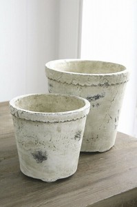 Flower Vase Set of 2