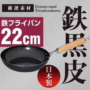 【日本製】鉄 フライパン 22cm 美味しく焼くなら