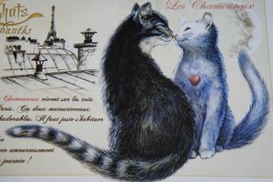 フランス製☆キャット☆ポストカード・セブリーヌキャット