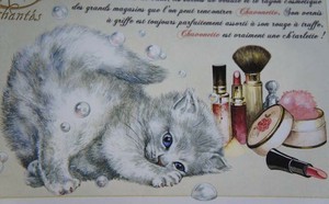 フランス製☆キャット☆ポストカード・セブリーヌキャット