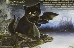Postcard Cat
