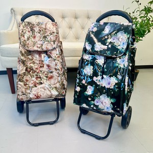 Suitcase Carry Bag Rose