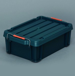 Buckle Container
