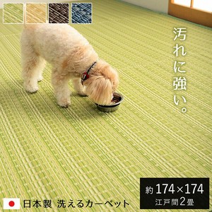 Carpet Washable Made in Japan