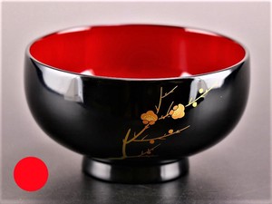 Soup Bowl Japanese Plum