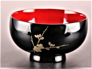 Soup Bowl Japanese Plum