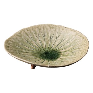 Shigaraki ware Main Plate 20cm