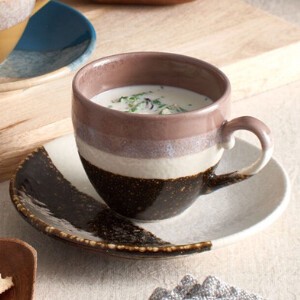 Mino ware Cup & Saucer Set Made in Japan