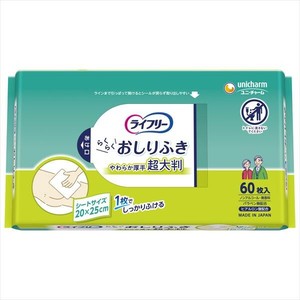Nursing-care Item