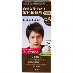 ルシード　ワンプッシュケアカラー　アッシュブラウン　（医薬部外品） 【 ヘアカラー 】