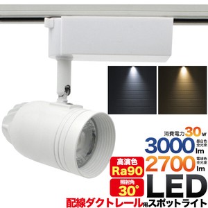 ＜LED電球・蛍光灯＞30W　LEDダクトレールスポットライト　光源角度30度 ホワイト
