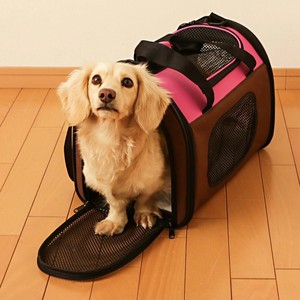 宠物外出提包/旅行袋 折叠