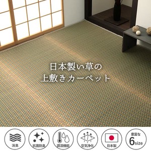 Carpet Anti-Odor Soft Rush Hemp Leaves Retro Made in Japan