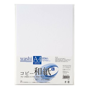 Copy/Printing Paper