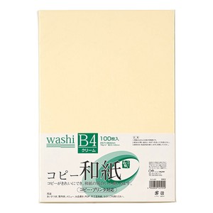 Copy/Printing Paper 100-pcs