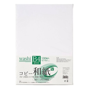 Copy/Printing Paper 100-pcs