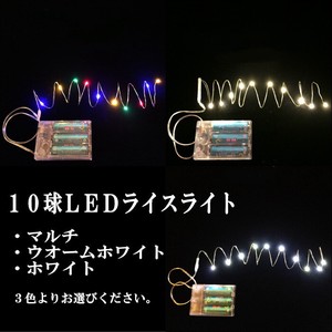 【予約販売：再入荷】【2024年クリスマス】10球LEDライスライト