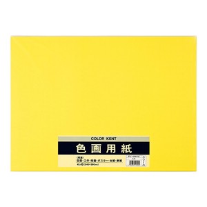 Planner/Notebook/Drawing Paper