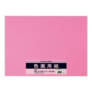 Planner/Notebook/Drawing Paper Peach