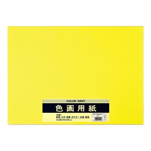 Planner/Notebook/Drawing Paper Lemon