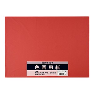 Planner/Notebook/Drawing Paper Red
