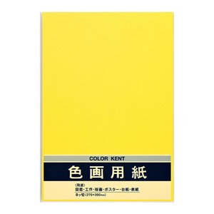 Planner/Notebook/Drawing Paper