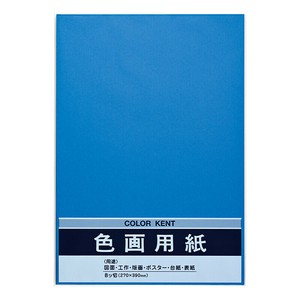 Planner/Notebook/Drawing Paper Blue