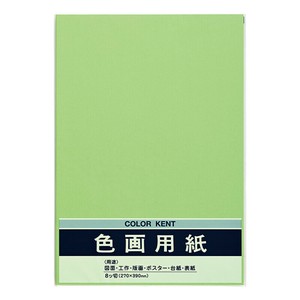 Planner/Notebook/Drawing Paper Yellowish-Green