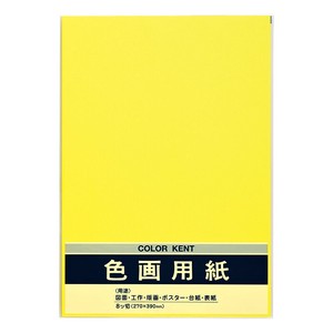 Planner/Notebook/Drawing Paper Lemon