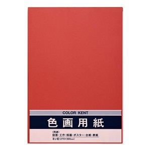 Planner/Notebook/Drawing Paper Red