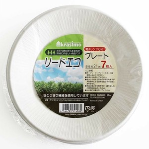 免洗餐具/一次性餐具 21cm