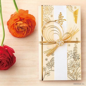 Envelope Congratulatory Gifts-Envelope