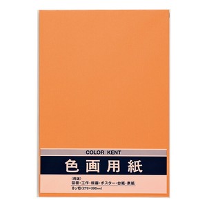 Planner/Notebook/Drawing Paper Orange