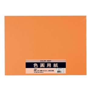 Planner/Notebook/Drawing Paper Orange