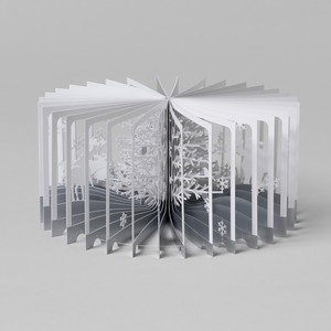 Artistic 360°Book Snowy Forest