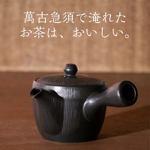 Banko ware Japanese Teapot Tea Pot 2-go Made in Japan