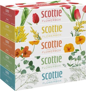 CRECIA Scottie Tissue Flower Box 5 Pack