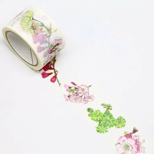 マスキングテープ　ボタニカル　桜　25mm×5m巻