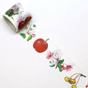 Washi Tape Apple Blossom And Fruit Botanica 38mm x 5m