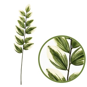 MAGIQ　タイニーナルコラン　GREEN3本入