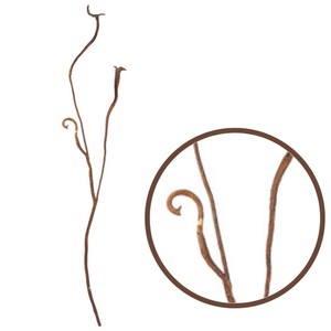 Artificial Plant Brown