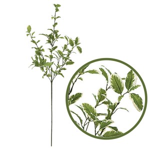 Artificial Plant