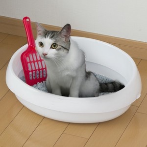 【アイリスオーヤマ　ペット用品・ペットフード　トイレ】　ネコのトイレ