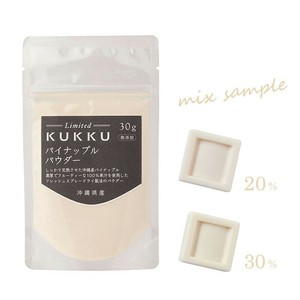 【フルーツパウダー】パイナップルパウダー　30g　無添加/無着色/無香料