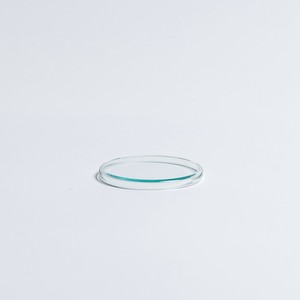 GLASS LID SS / グラスリド　SS