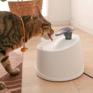 Water Dispenser Pet items