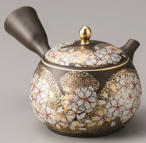 Kutani ware Tokoname ware Japanese Teapot Tea Pot