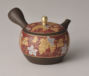 Tokoname ware Japanese Teapot Tea Pot Set of 3